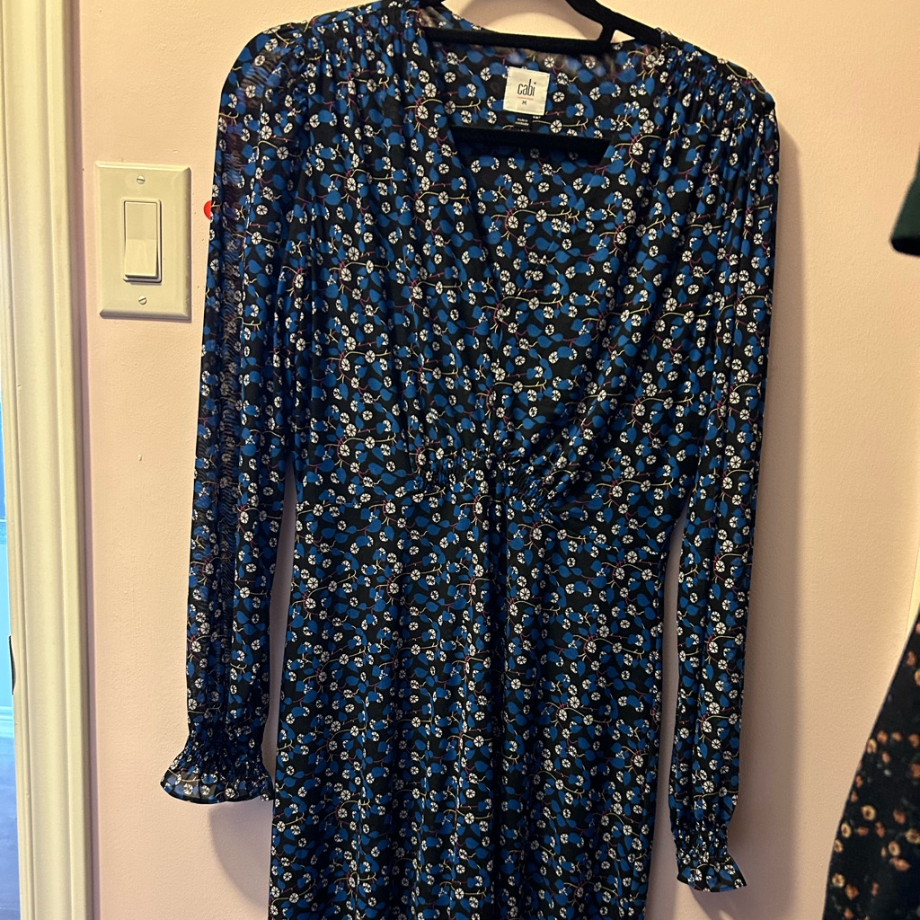 Cabi Dress